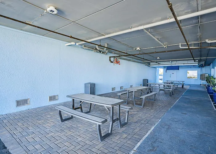 Dollar 504 Apartment *